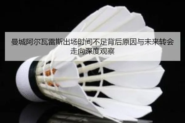 曼城阿尔瓦雷斯出场时间不足背后原因与未来转会走向深度观察