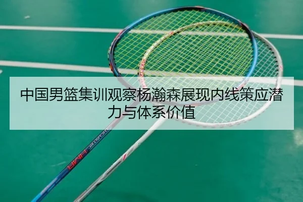 中国男篮集训观察杨瀚森展现内线策应潜力与体系价值
